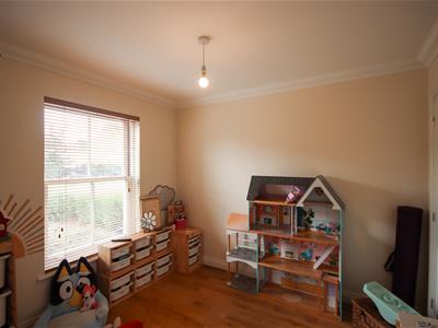 Picture 3